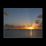 Sunset with Sailboats Postcard