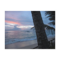 Sunset with tree @ Sri Lanka Post Card