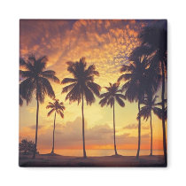 Sunsetpalm magnets by CaringHearts Sunsetpalm magnets