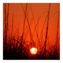 Sunsets and  smiles posters