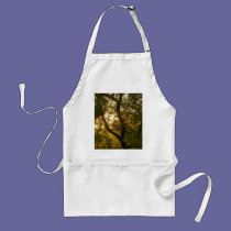 Sunsets aprons