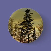 Sunsets buttons