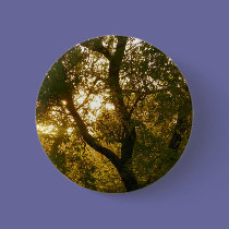Sunsets buttons