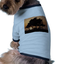 Sunsets La Jolla pet clothing by lifesphere Sunsets La Jolla pet clothing