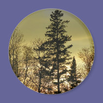 Sunsets magnets