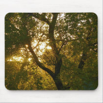 Sunsets mousepads