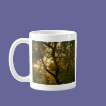 Sunsets mugs