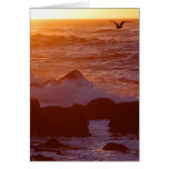 Sunsets Ocean Card