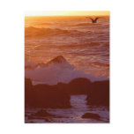 Sunsets Ocean Postcards