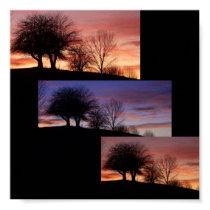 Sunset's Poster posters