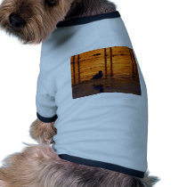 Sunsets Seagulls pet clothing by lifesphere Sunsets Seagulls pet clothing