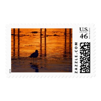 Sunsets Seagulls stamp