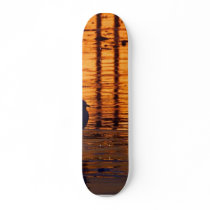 Sunsets Seagulls skateboards