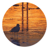 Sunsets Seagulls stickers by lifesphere Sunsets Seagulls stickers