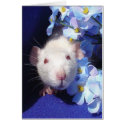 sunshine 2 cards by Rsungodess sunshine 2 cards