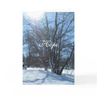 Sunshine after the Storm Greeting Card card
