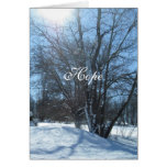 Sunshine after the Storm Greeting Card cards