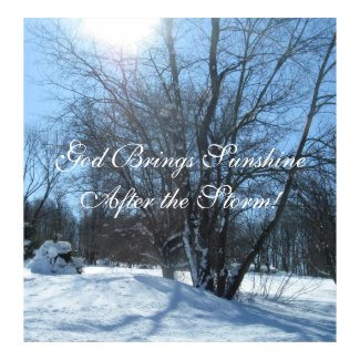 Sunshine After the Storm! print