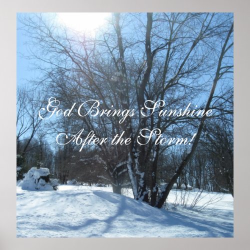 Sunshine After the Storm! print