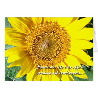 Sunshine and Tumbleweeds Greeting Card + Envelope