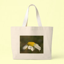 Sunshine bags