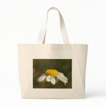 Sunshine bags by Rainmountain Sunshine bags