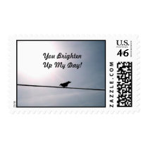 Sunshine Bird Stamp