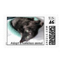 Sunshine Buster, Adopt a homeless animal postage by RozSmith Sunshine Buster, Adopt a homeless animal postage