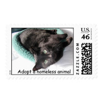 Sunshine Buster, Adopt a homeless animal postage