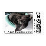 Sunshine Buster, Adopt a homeless animal stamps