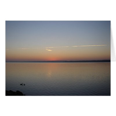 Sunshine Greeting Card by pasiry