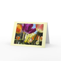 Sunshine cards by ZeroToTwenty Sunshine cards