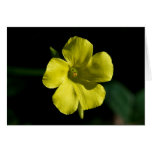 Sunshine Flower Greeting Card