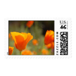 Sunshine Flowers Stamps