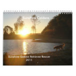 Sunshine Goldens Vs 2 - 2011... calendars