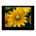 Sunshine II posters by GreenK Sunshine II posters
