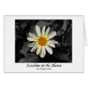 Sunshine in the Alamo (San Antonio, Texas) cards