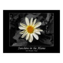 Sunshine in the Alamo (San Antonio, Texas) posters