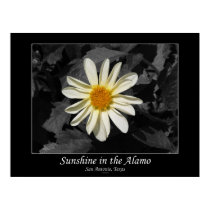 Sunshine in the Alamo (San Antonio, Texas) posters by JKLionheart Sunshine in the Alamo (San Antonio, Texas) posters