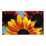 Sunshine Landscaping Business Card