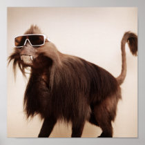 sunshine monkey posters