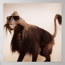 sunshine monkey posters
