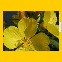 Sunshine on a Rainy Day Greeting/Note Card