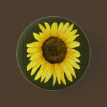 Sunshine On A Stick Button buttons