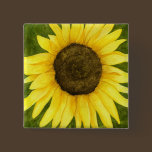 Sunshine On A Stick Button buttons