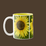 Sunshine On A Stick Mug mugs