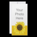 Sunshine On A Stick Photo Card photo cards