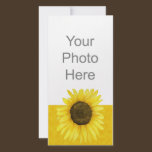 Sunshine On A Stick Photo Card photo cards
