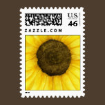 Sunshine On A Stick Postage Stamp stamps