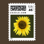 Sunshine On A Stick Postage Stamp stamps